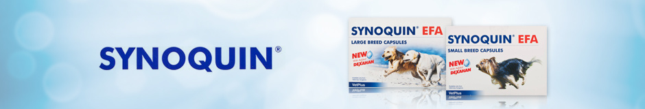 Synoquin