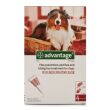 Advantage 250 For Dogs Advantage 250 For Dogs