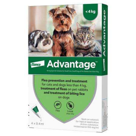 Advantage Spot On Flea Treatment Solution Pack of 4 40 Small Cats, Dogs & Ra Advantage Spot On Flea Treatment Solution Pack of 4 40 Small Cats, Dogs & Ra
