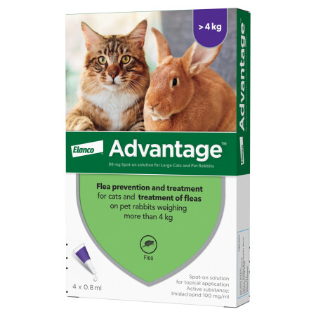 Advantage Spot On Flea Treatment Solution Pack of 4 80 Large Cat/Rabbit over 4kg Advantage Spot On Flea Treatment Solution Pack of 4 80 Large Cat/Rabbit over 4kg