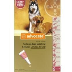 Advocate Large Dog 10-25kg