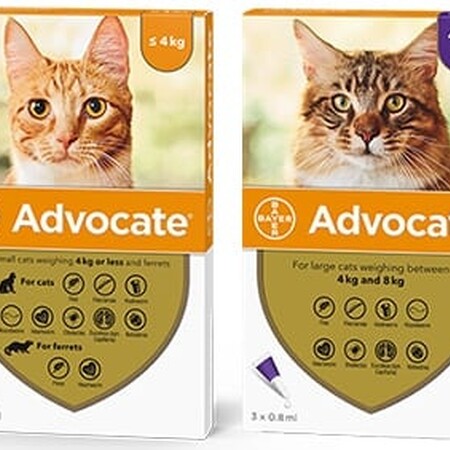 Advocate Spot On Solution for Cats Pack of 6 40 Small Cat up to 4kg Advocate Spot On Solution for Cats Pack of 6 40 Small Cat up to 4kg