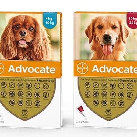 Advocate Spot On Solution for Dogs Pack of 6 100 Medium Dog 4 - 10kg Advocate Spot On Solution for Dogs Pack of 6 100 Medium Dog 4 - 10kg