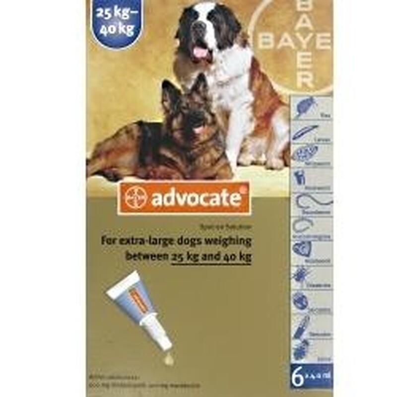 advocate xl 25 40kg prescription chemist direct advocate xl 25 40kg prescription chemist direct