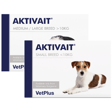 Aktivait for Dogs  Aktivait for Dogs