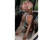 Ancol Car Harness Black Ancol Car Harness Black