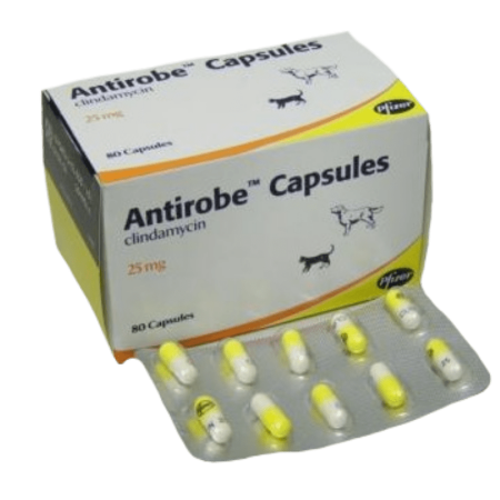 Antirobe Capsules  Antirobe Capsules