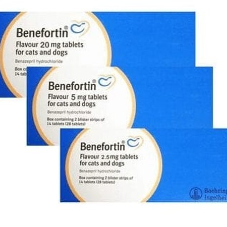 Benefortin Flavour Tablets  Benefortin Flavour Tablets