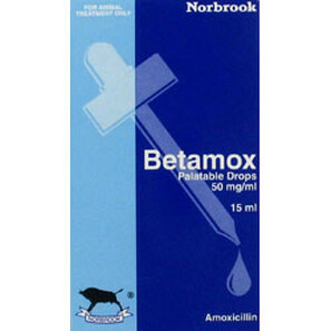 Amoxicillin drops