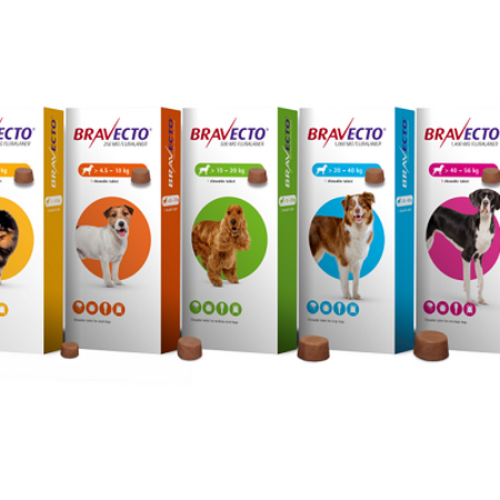 Bravecto Chewable Tablets for Dogs Pack of 2 1400mg Extra Large Dog 40-56kg Bravecto Chewable Tablets for Dogs Pack of 2 1400mg Extra Large Dog 40-56kg