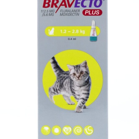 Bravecto Plus Spot On Solution for Cats Single Pipette 112.5mg Small Cat 1.2-2.8 Bravecto Plus Spot On Solution for Cats Single Pipette 112.5mg Small Cat 1.2-2.8