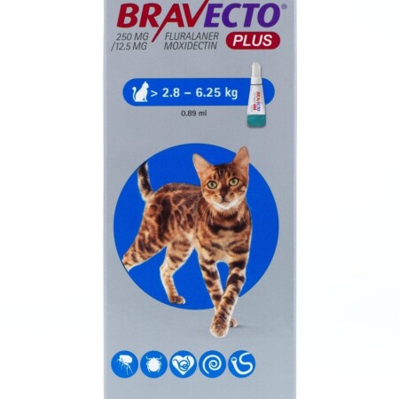 Bravecto Plus Spot On Solution for Cats Single Pipette 250mg Medium Cat 2.8-6.25 Bravecto Plus Spot On Solution for Cats Single Pipette 250mg Medium Cat 2.8-6.25