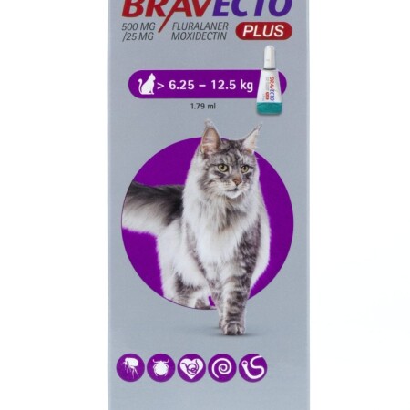 Bravecto Plus Spot On Solution for Cats Single Pipette 500mg Large Cat 6.25-12.5 Bravecto Plus Spot On Solution for Cats Single Pipette 500mg Large Cat 6.25-12.5
