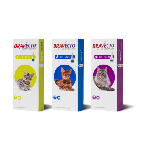 Bravecto Spot On Solution for Cats Single Pipette 112.5mg Small Cat 1.2-2.8kg Bravecto Spot On Solution for Cats Single Pipette 112.5mg Small Cat 1.2-2.8kg
