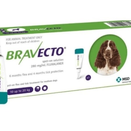 Bravecto Spot On Solution for Dogs Single Pipette 500mg Medium Dog 10-20kg Bravecto Spot On Solution for Dogs Single Pipette 500mg Medium Dog 10-20kg