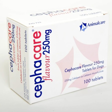 Cephacare Flavour Tablets Single Tablet 250mg Cephacare Flavour Tablets Single Tablet 250mg