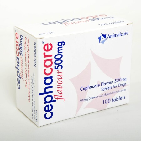 Cephacare Flavour Tablets Single Tablet 500mg Cephacare Flavour Tablets Single Tablet 500mg