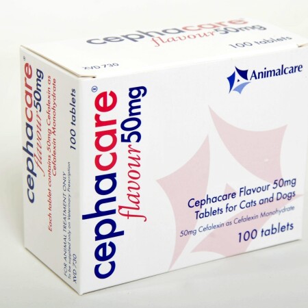 Cephacare Flavour Tablets Single Tablet 50mg Cephacare Flavour Tablets Single Tablet 50mg