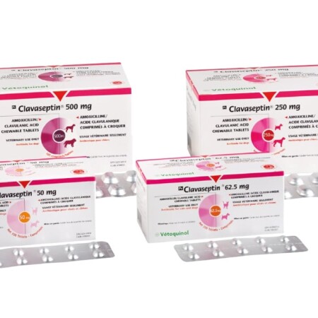 Clavaseptin Palatable Tablets Single Tablet 62.5mg Clavaseptin Palatable Tablets Single Tablet 62.5mg
