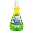 Dentyl Active Plaque Fighter Minty Citrus Mouthwash Dentyl Active Plaque Fighter Minty Citrus Mouthwash