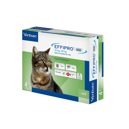 Effipro Duo Spot On Flea Treatment for Cats  Effipro Duo Spot On Flea Treatment for Cats