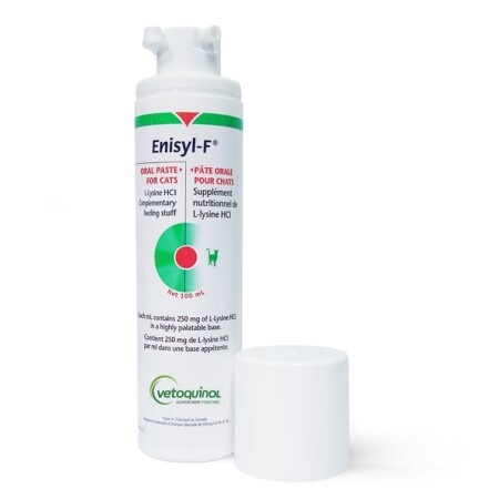 Enisyl F Paste  Enisyl F Paste