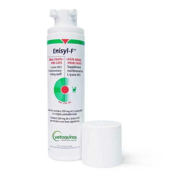 Enisyl F Paste