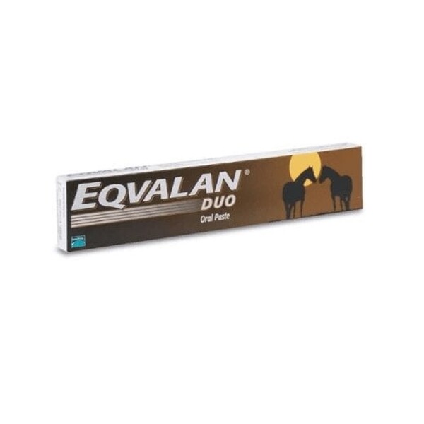 Eqvalan Duo Paste Syringe
