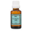 Eucalyptus Oil B.P Eucalyptus Oil B.P