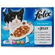 Felix Pouch Fish 12 Pack Felix Pouch Fish 12 Pack
