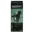 Gastroguard Paste 37% Oral Paste 6.16g Gastroguard Paste 37% Oral Paste 6.16g