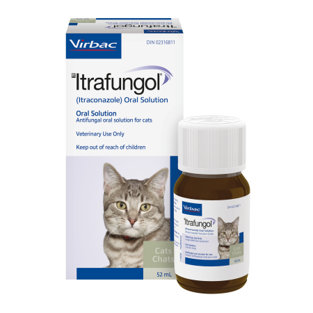 Itrafungol Oral Solution  Itrafungol Oral Solution