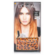 L'Oreal Recital Preference Wild Ombre Light Brown To Dark Brown L'Oreal Recital Preference Wild Ombre Light Brown To Dark Brown
