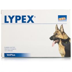 Pets Lypex Capsules - 60 Pets Lypex Capsules - 60