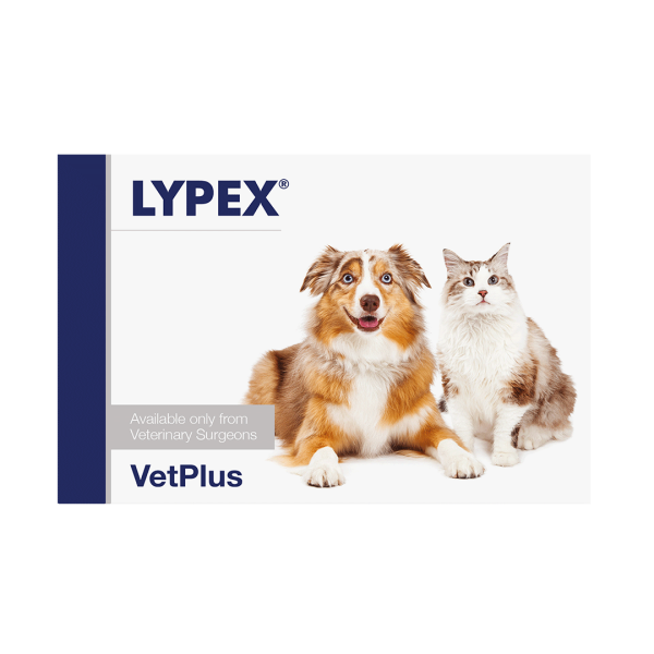 Lypex Capsules for Dogs and Cats