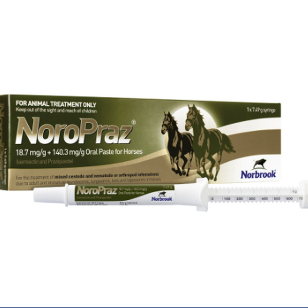 Noropraz Equine Paste