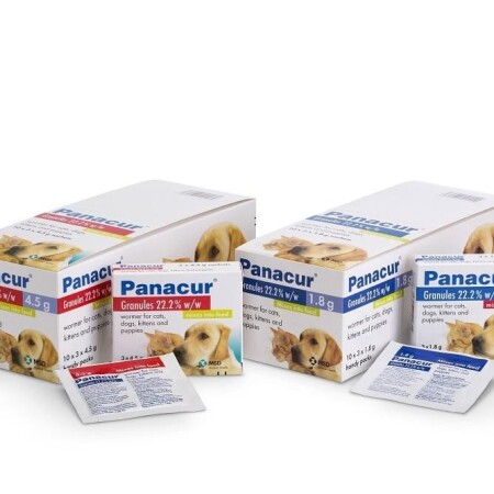 Panacur Granules for Cats and Dogs  Panacur Granules for Cats and Dogs