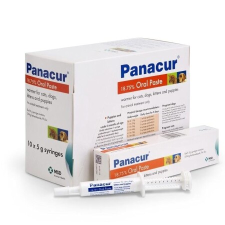 Panacur Oral Paste for Cats and Dogs  Panacur Oral Paste for Cats and Dogs