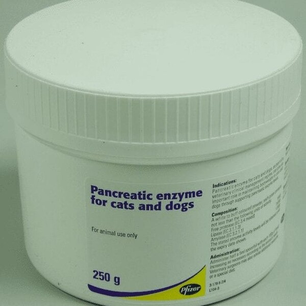 Pancreatic Enzyme for Cats and Dogs