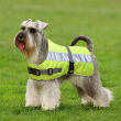 Petlife Flecta High Visibility Dog Coat Yellow Petlife Flecta High Visibility Dog Coat Yellow