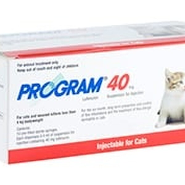 Program 40 Suspension for Injection Pack Of 10