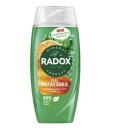 Radox Shower Gel Feel Refreshed