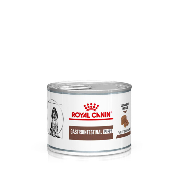 Royal Canin Dental Adult Dry Dog Food