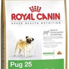royal canin pug 25 royal canin pug 25 chemist direct royal canin pug 25 royal canin pug 25 chemist direct