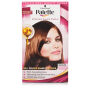 Schwarzkopf Palette Intensive Cream Color 650 Chesnut Brown Schwarzkopf Palette Intensive Cream Color 650 Chesnut Brown