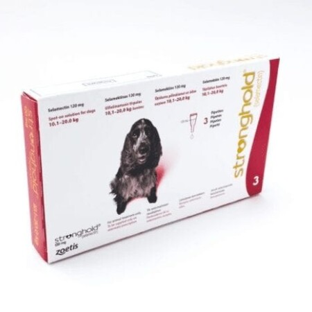 Stronghold Spot On for Dogs Pack of 3 120mg Medium Dog 10.1-20kg Stronghold Spot On for Dogs Pack of 3 120mg Medium Dog 10.1-20kg