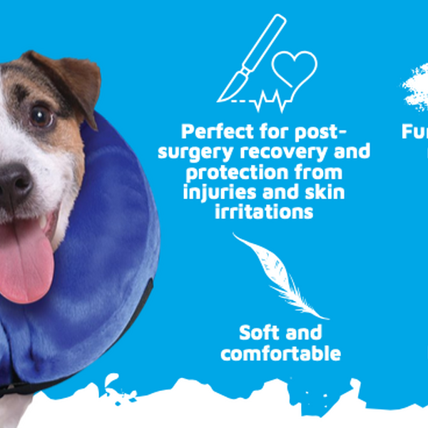 Super Recovery Inflatable Collar for Dogs