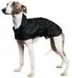 Whippet Coat Whippet Coat
