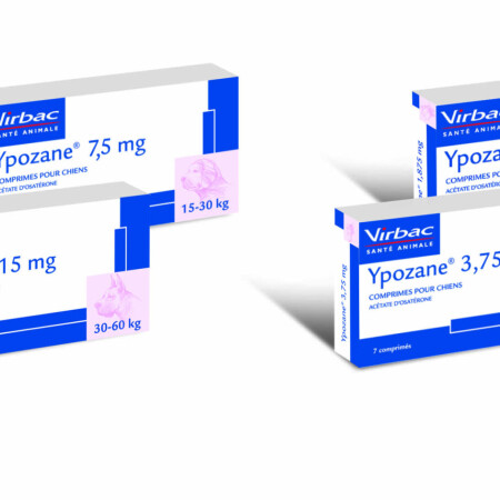 Ypozane Tablets  Ypozane Tablets
