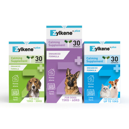 Zylkene Plus Calming Supplement for Cats and Dogs  Zylkene Plus Calming Supplement for Cats and Dogs